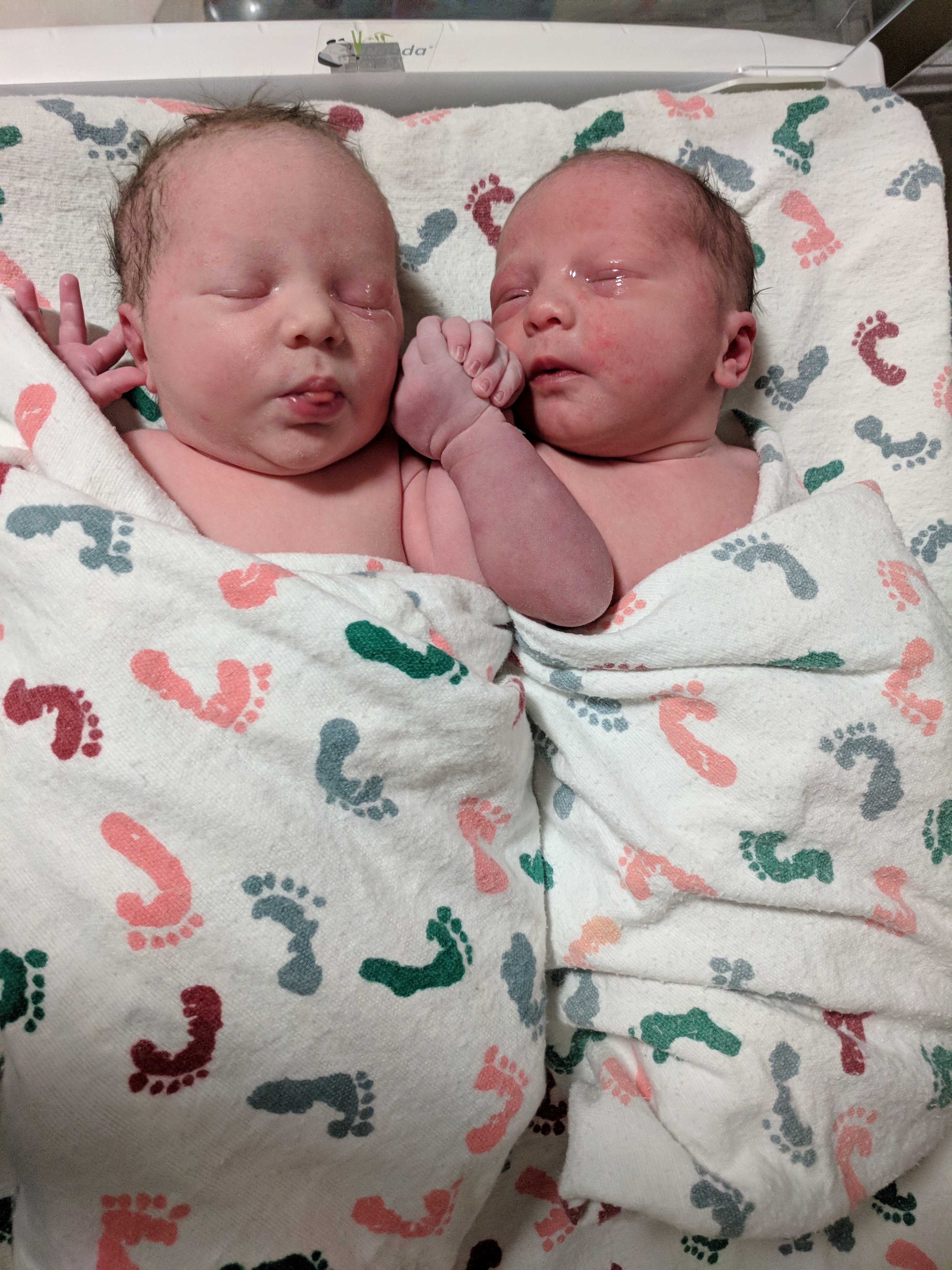Zeke & Zoe-Beth